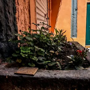 little-house-napoli.hotels-amalfi.com/